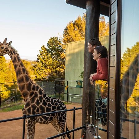 Jamala Wildlife Lodge Canberra Exterior photo