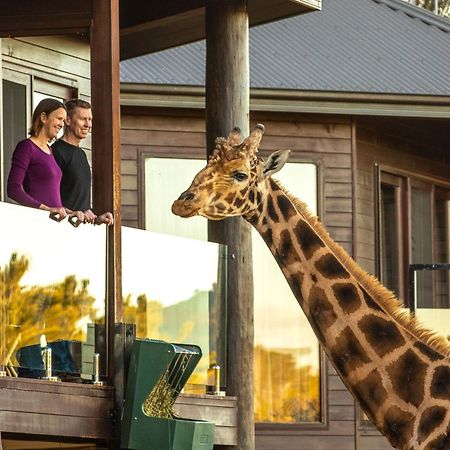 Jamala Wildlife Lodge Canberra Exterior photo