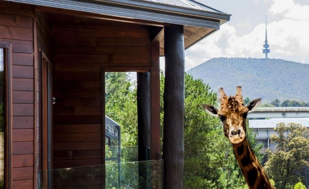 Jamala Wildlife Lodge Canberra Exterior photo