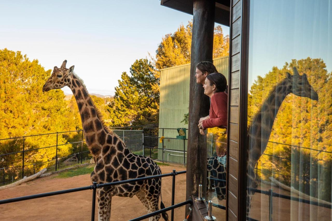 Jamala Wildlife Lodge Canberra Exterior photo