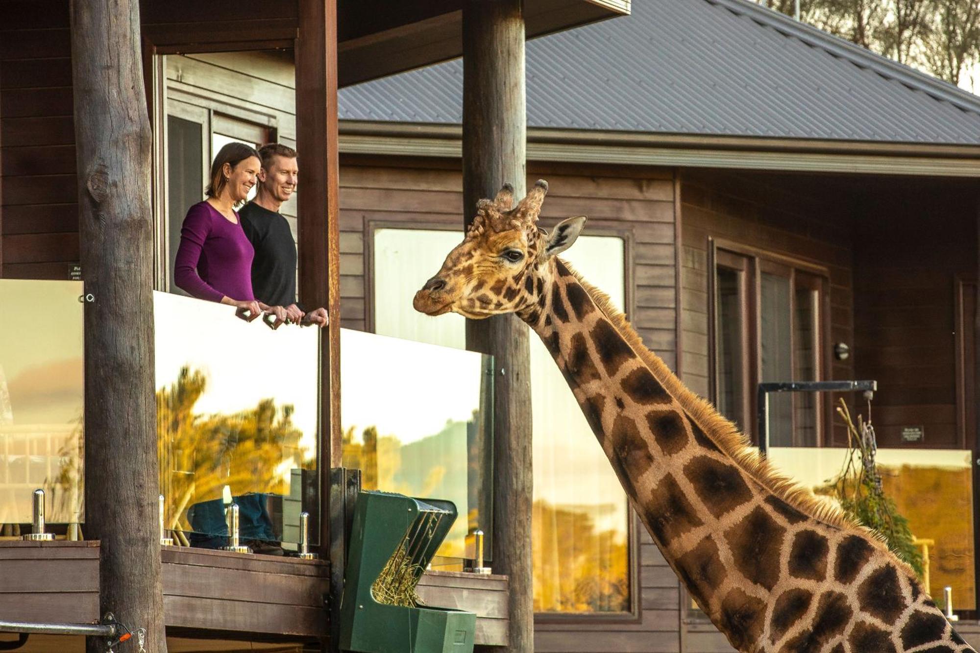Jamala Wildlife Lodge Canberra Exterior photo