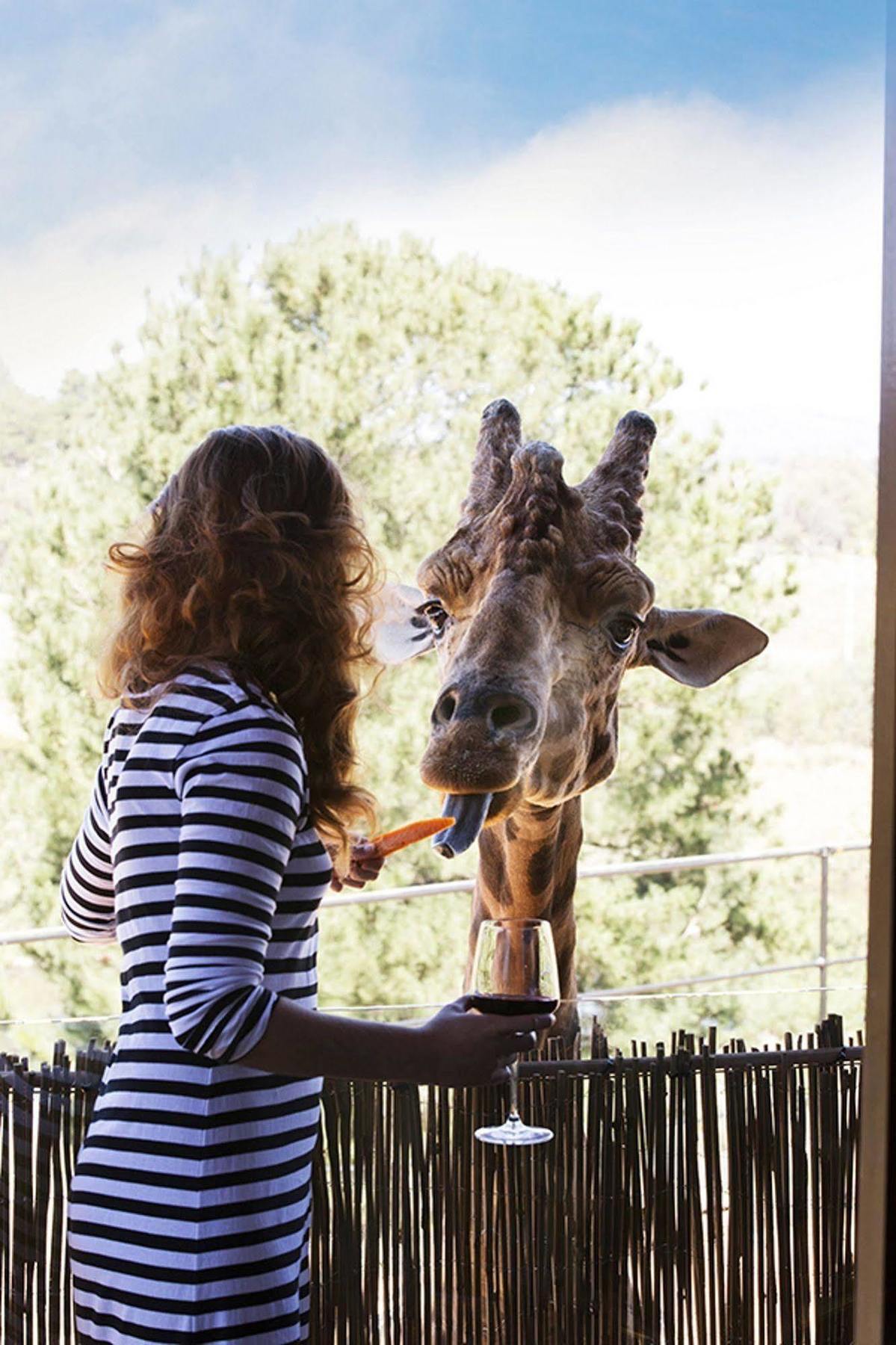 Jamala Wildlife Lodge Canberra Exterior photo