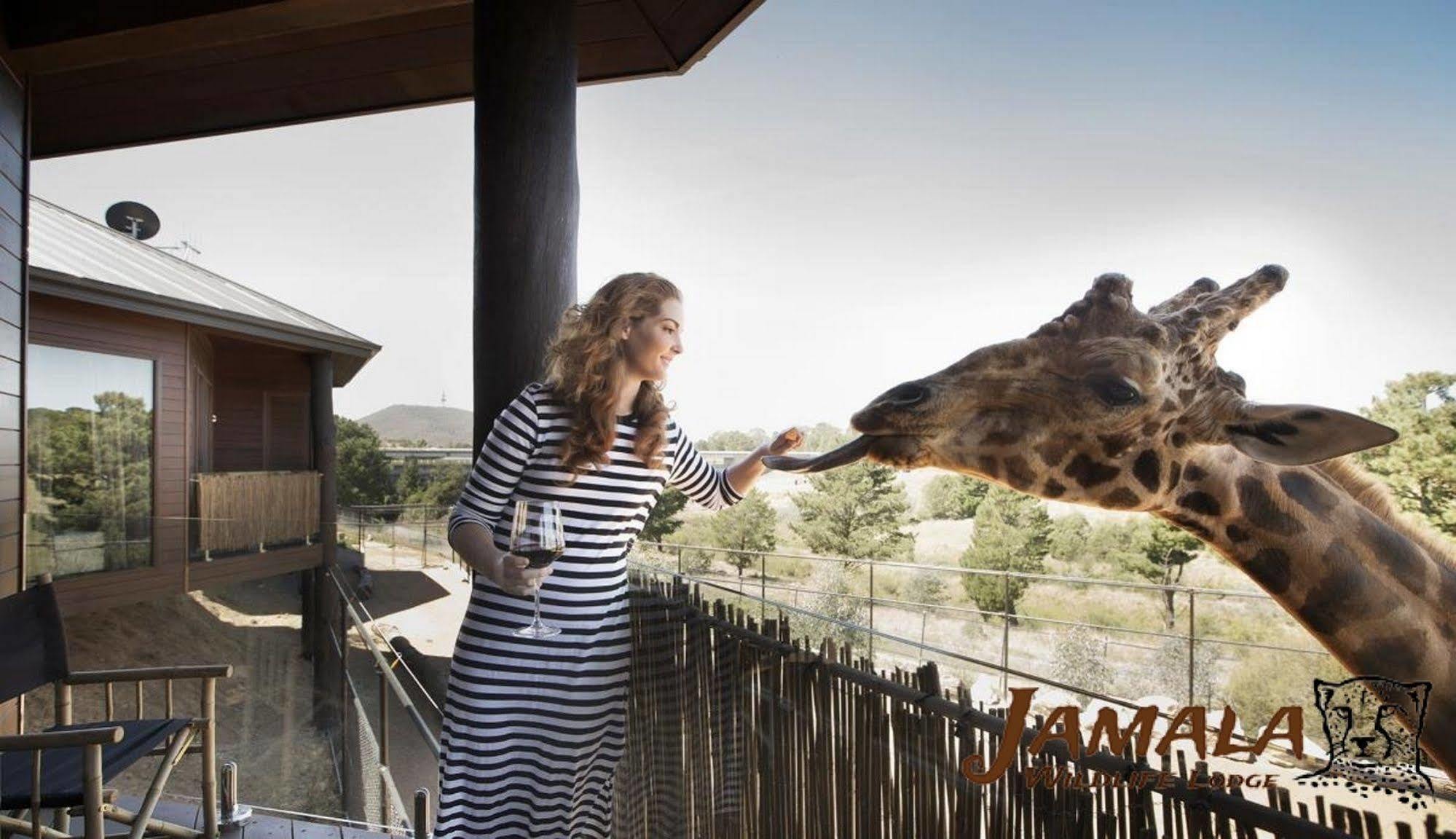 Jamala Wildlife Lodge Canberra Exterior photo